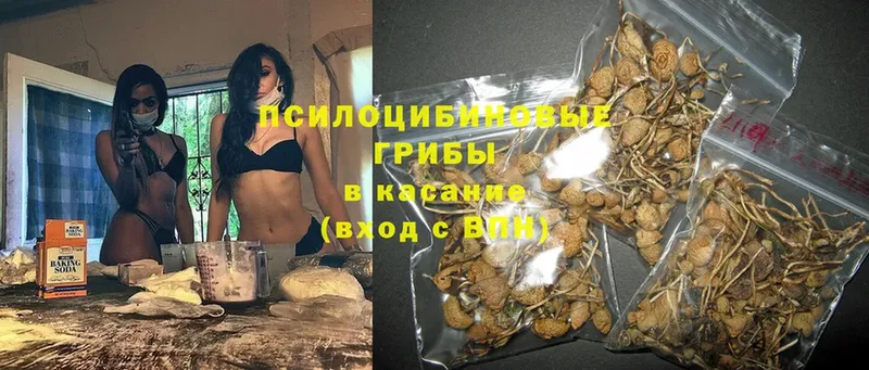 hydra ссылка  Гвардейск  Псилоцибиновые грибы Magic Shrooms 